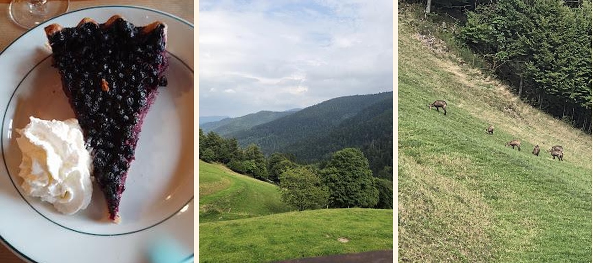 La Graine Johé SARL - Menu Image 2